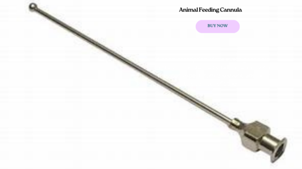 Animal Feeding Cannula